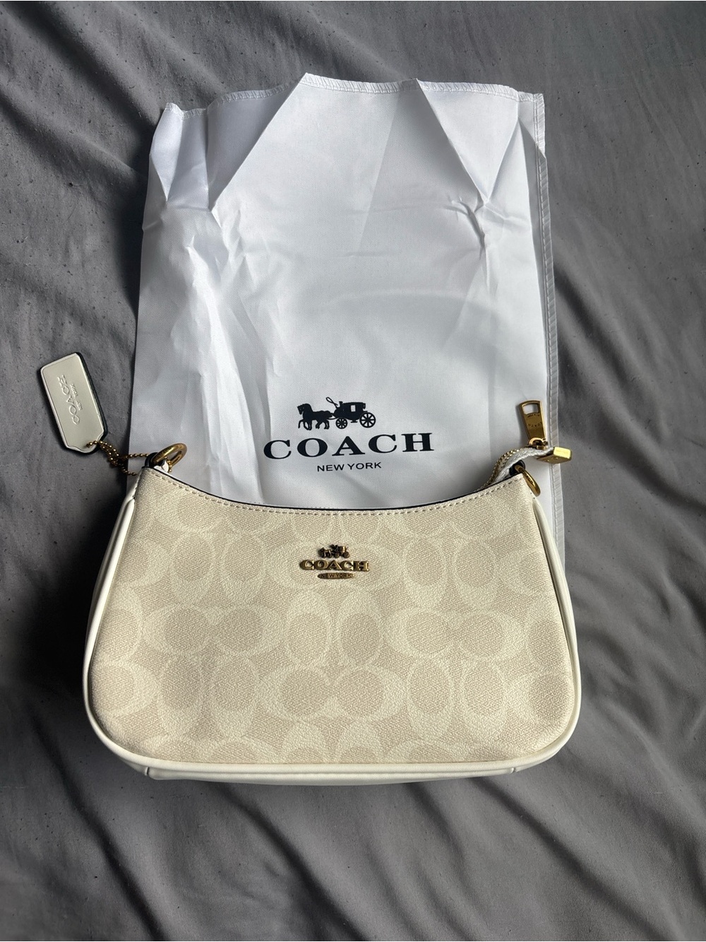 C bag New York handbag/purse